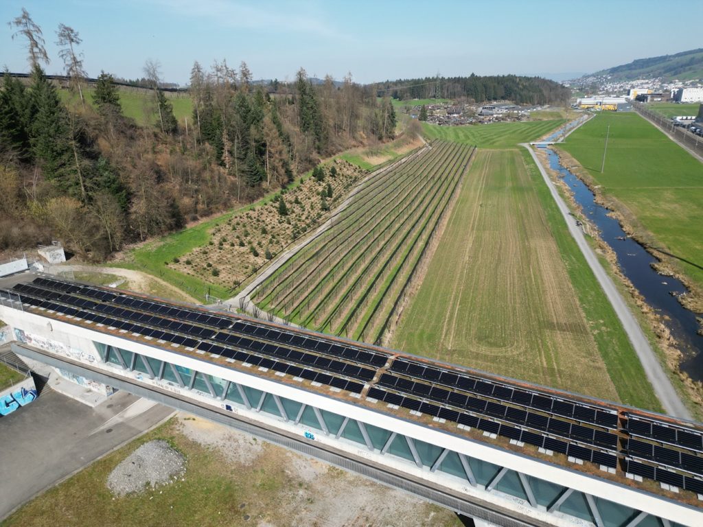 PVA Rontalbrücke 3